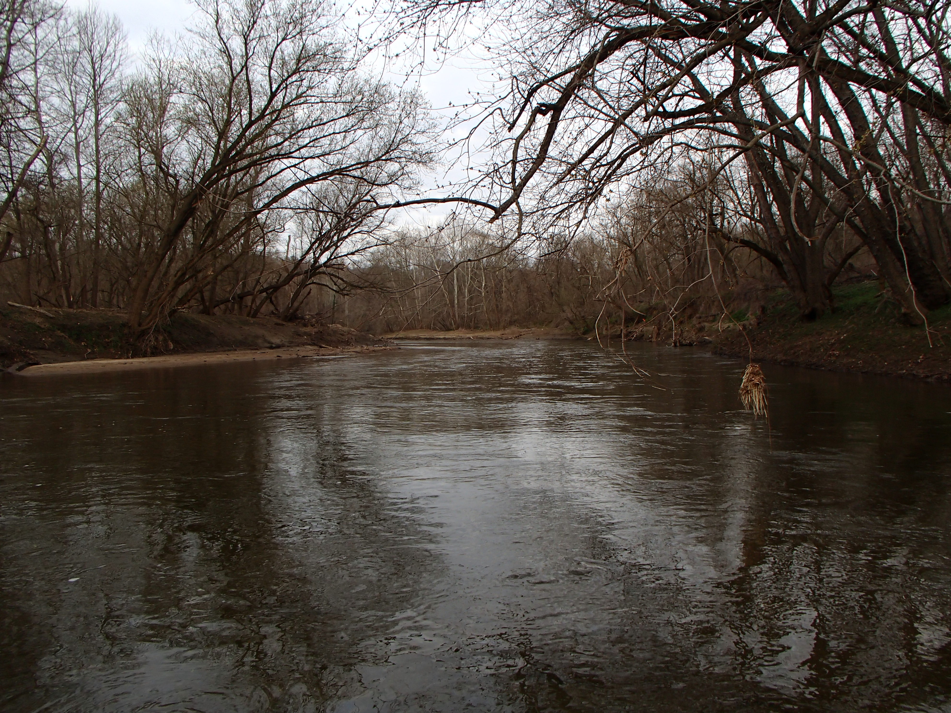 Field photo showing stream conditions at site PATL-B02-X-2016_midpoint looking upstream